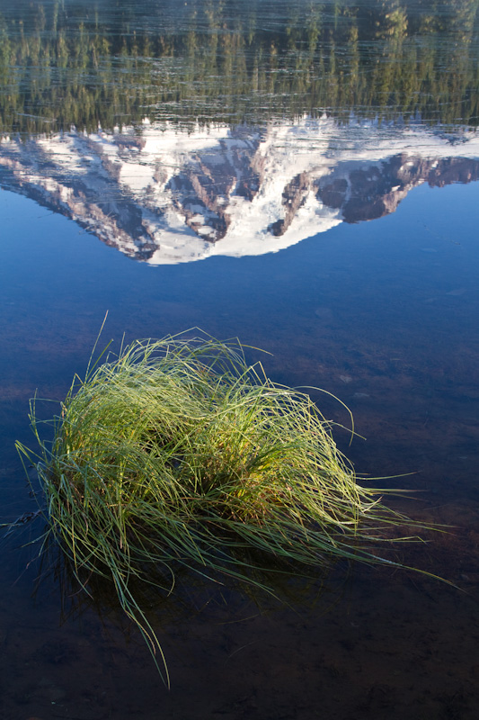 Reflection Of Mount Rainier In Reflection Lake